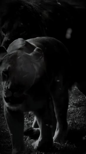 10 life lessons you learn over time | The King