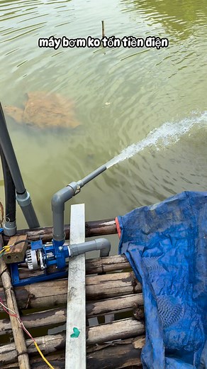 máy bơm cả năm không tốn tiền điện , máy bơm năng lượng mặt trời | Nguyen Van The Anh