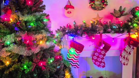 25 Pack C7 Replacement Light Bulbs, C7/E12 Candelabra Base, Multi-Color Christmas Lights for Outdoor, Indoor, Patio String Lights, 5 Watt