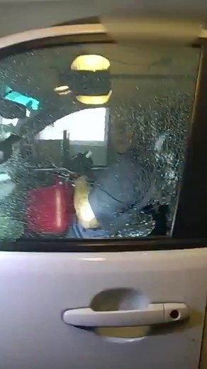 41K views · 361 reactions | A 40-year-old man was arrested last week after allegedly breaking into a home in Seattle’s Highland Park neighborhood while a teenage girl was inside. Seattle police said the man started drinking gasoline when officers attempted to take him into custody. #komo #komo4 #komonews #seattle #seattlenews #spd #police #gas #fuel #crime #homeinvasion #seattlepolice | KOMO News | Facebook