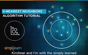 【 机器学习 】KNN Algorithm - How KNN Algorithm Works With Example（英文字幕）