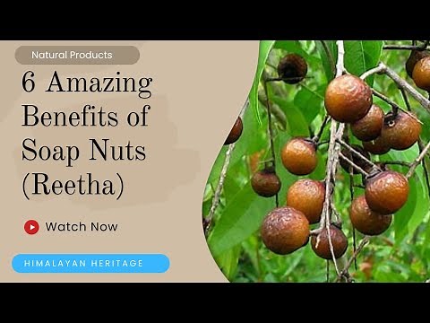 6 Amazing Benefits of Soap Nuts (Reetha) | Ritha / Aritha Health Benefits