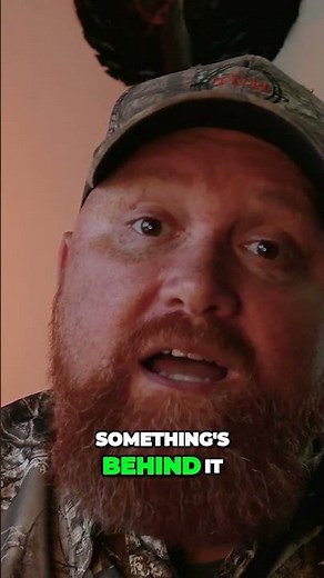 🐿 Crafty Squirrel Hunting Tips #shorts #squirrel