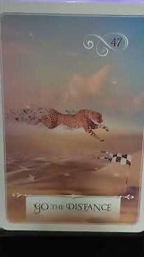 💘 If This Found You – It’s YOUR Sign of Love! 🔮 #angeloracle #oraclereading #tamiltarotreading