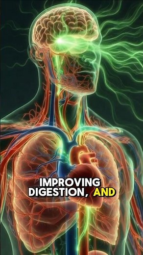 What Happens When You Eat Fenugreek Leaves