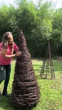 Dust that Grapevine tree off with a hose? #thegrapevinelady #nature #grapevinetree #vines ￼