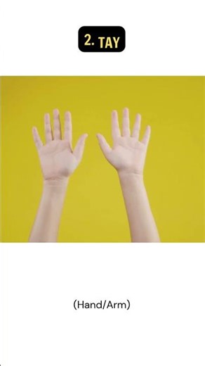 Learn Vietnamese Fast: 5 Essential Body Words with Mia | Beginner Vocabulary