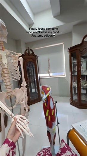 Anatomy Edition: A Unique Lab Experience