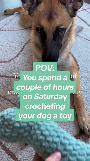 It was nice while it lasted 🥲 📝: Dog Bone Amigurumi crochet pattern by Andrea Cretu 🧶: Bernat blanket yarn Going to try making it again with wool and felt it, which is an option in the pattern. I think that will make it more sturdy for her 😅 #crochetinspiration #crochettiktoker #crochetersoftiktok #crocheting #crochettok