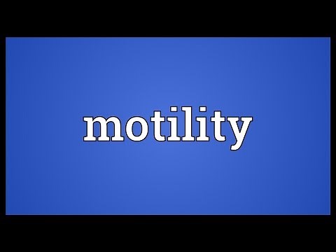 Motility Meaning