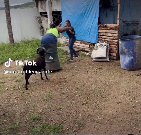 Don’t try this at home 👀🤧😂#bigproblems #justforfun #dontplay #foryoupageofficiall❤️❤️tiktoklover #fun #southafrica