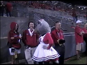 Mascots at NC State vs USF