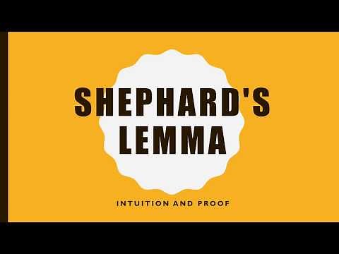 Shephard's Lemma Intuition and Proof