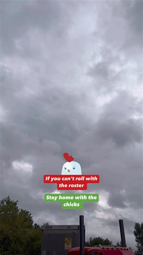 6.1K views · 236 reactions | #quebebigrigs #peterbilt | Texas Big Rigs | Facebook