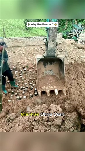 🎋WhyUseBamboo?🤯 #BambooFoundation#SoftSoil#Construction#Vietnam#AmazingBuild