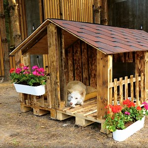Building DIY Cozy Dog House Out of Pallets | Green Bean