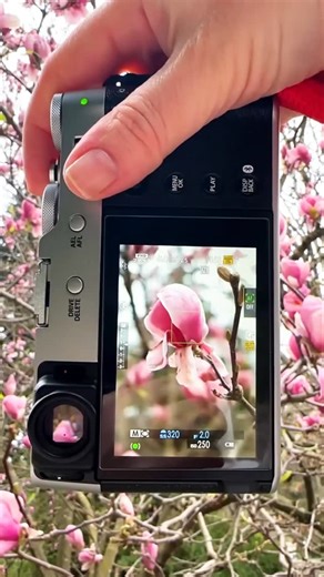 The rare Fujifilm X100 VI in stunning SILVER is now available at camera.ie It features ✅ 40MP BSI CMOS APS-C X-Trans Sensor ✅ 35mm Equiv F2 Lens for breathtaking shots ✅ In-body IS for up to 6EV of correction Product Code: 16821793 | Camera Centre | Facebook