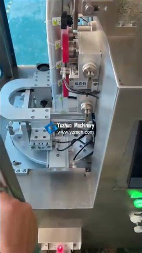 Full Automatic Pyramid Tea Bag Packing Machine Demo