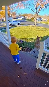 the kangaroo went crazy! 😱 | Vessy’s Gourmet Kitchen