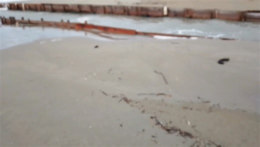 Alberta Puccinelli on Reels