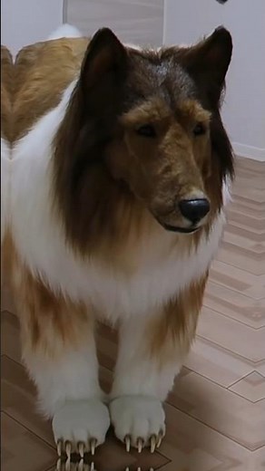 THE MAN who turned into A DOG!