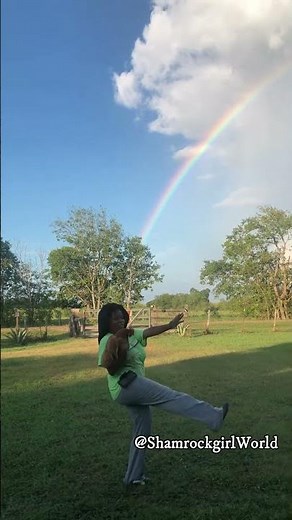 Irish Dance With a Chicken and Rainbow-Paddy Taylor’s Reel (By Solas)