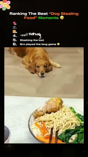 😂❤️ #dogs#funny#Popular#Cute pet