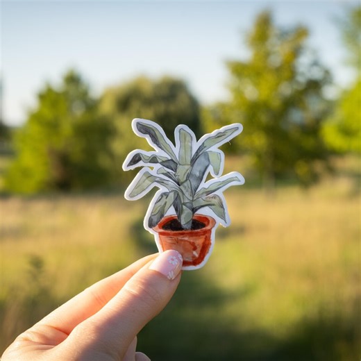 Snake Plant Sticker, Watercolor Potted Plant, Vinyl Decal - Etsy