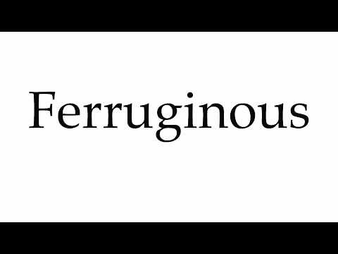 How to Pronounce Ferruginous