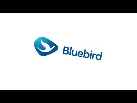 The story of the Bluebird logo