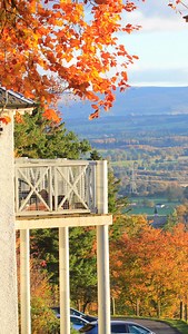 Self-catering breaks with the kids, this October 🏡 Hidden in the stunning Perthshire countryside in the centre of Scotland, we offer a range of accommodations to make every family feel right at home, with 56 self-catering lodges to choose from, and lodges for 2 up to 16 guests (plus the dogs)* • 𝐂𝐮𝐥𝐜𝐫𝐢𝐞𝐟𝐟 𝐋𝐨𝐝𝐠𝐞𝐬 is within a peaceful village setting, with stunning views and a short walk to @action_glen • 𝐖𝐨𝐨𝐝𝐥𝐚𝐧𝐝 𝐋𝐨𝐝𝐠𝐞𝐬 are luxury lodges nestled above the hotel. • 𝐂