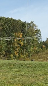 36K views · 280 reactions | Extreme Tree Trimming #helicopter #trimmingtrees #trees #maintenance #extreme | Back 40 Firewood | Facebook