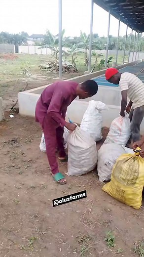 33K views · 349 reactions | Discover the untapped goldmine of snail...