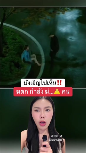 The Witness Movie Spoiler Overview