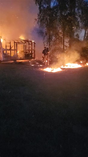 Next door neighbors back yard right now! Thanks to my wife for spotting it. | Sam Lee