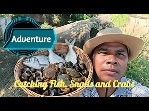 Catching Fish, Snails, and Crabs #dailyvlog, #Fishing #survivalskill, ក្រុមខ្មែរ២៥ is live!