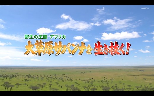 ワイルドライフ 大草原サバンナを生き抜く！