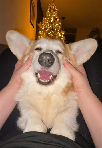 Exploring Dance Moves with Exciting Kicks