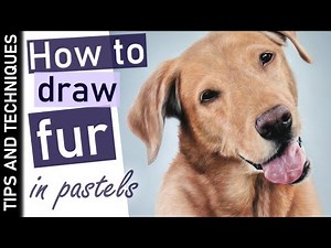 How to draw fur in pastels | Labrador pastel drawing