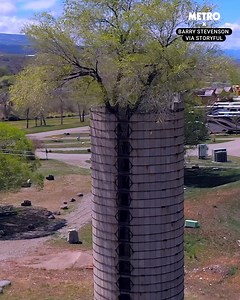 53K views · 465 reactions | Nature finds a way  | Metro | Facebook