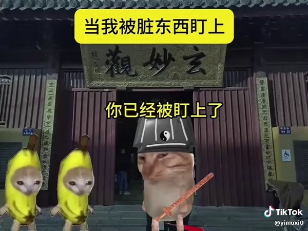 当我被脏东西盯上😱#猫meme #catmemes #搞笑 #抽象 #内容过于真实 #memes