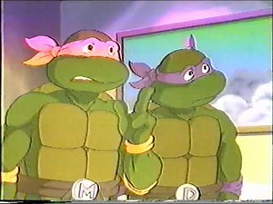 Teenage Mutant Ninja Turtles FHE VHS preview