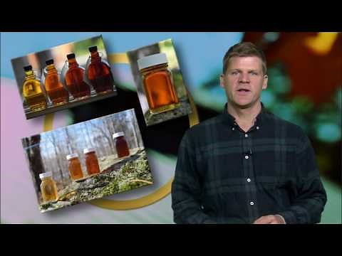 Maple Syrup Grading Fundamentals: Density