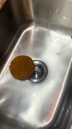 This Pine makes the BEST PINE MILK Ive been craving this combo for a couple days 😮‍💨 #fyp #asmr #pinemilk #clean | Robert Morgan