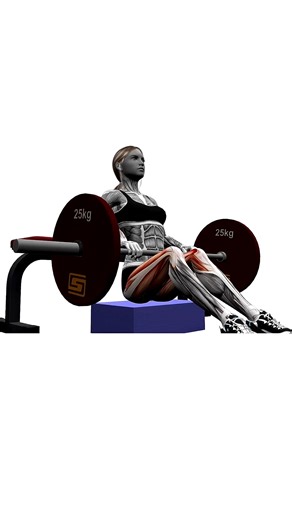 Barbell Hip Thrust.mp4