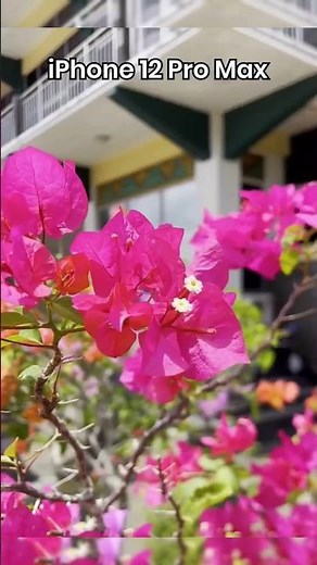 iPhone 12 Pro Max vs Sony A6500 | Camera Comparison 2025 | Epic Highlight Shots