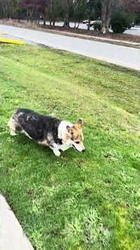 Mr. Max, December 2025