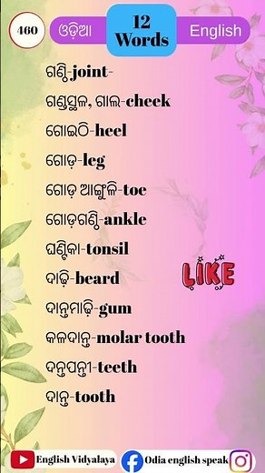 spoken English online classes Odia || English Vidyalaya || #vocabulary