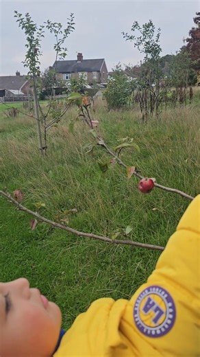 Picking apple from the streets 😀 | Gen's Vlog