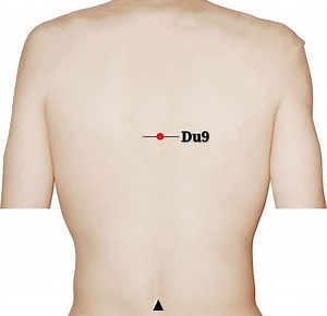 Du9 (Zhiyang) - Saludymedicinachina.com